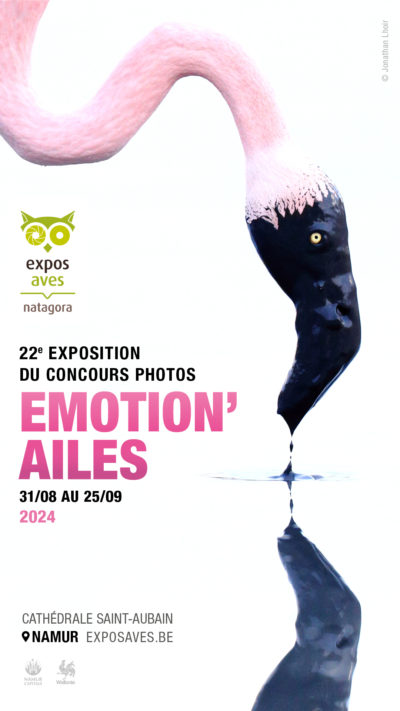 24016 expon nat story2 400x711