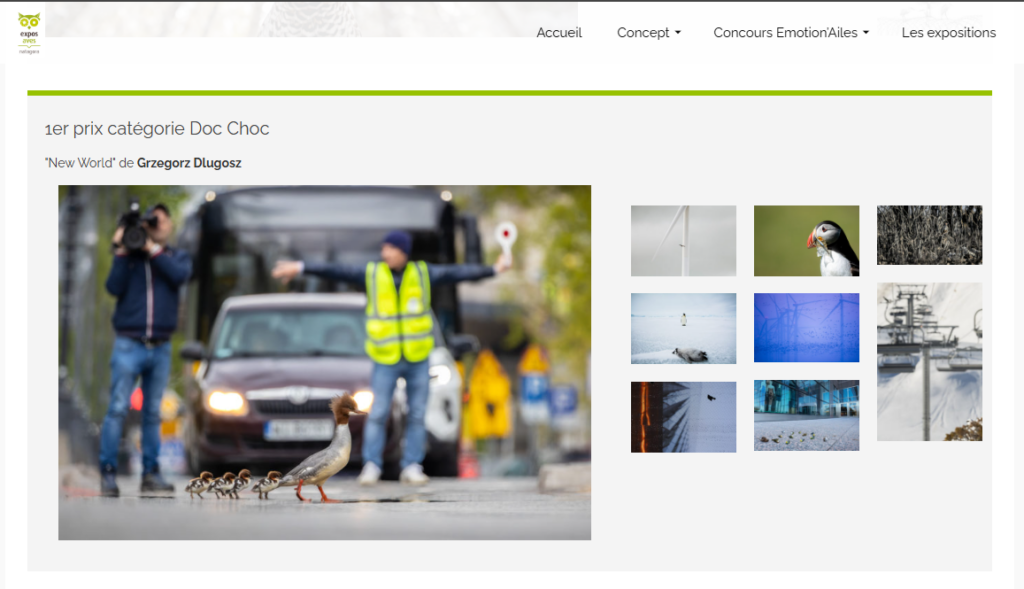 article expo aves concours 2024 catégorie homme et nature