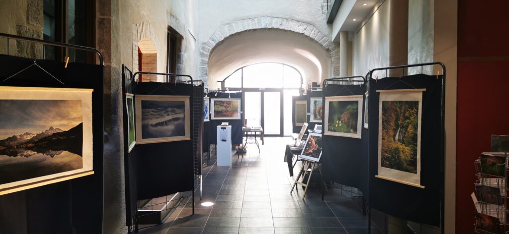 Picture for Nature 2023 - Exposition macareux moine - papier washi img 20230527 085452