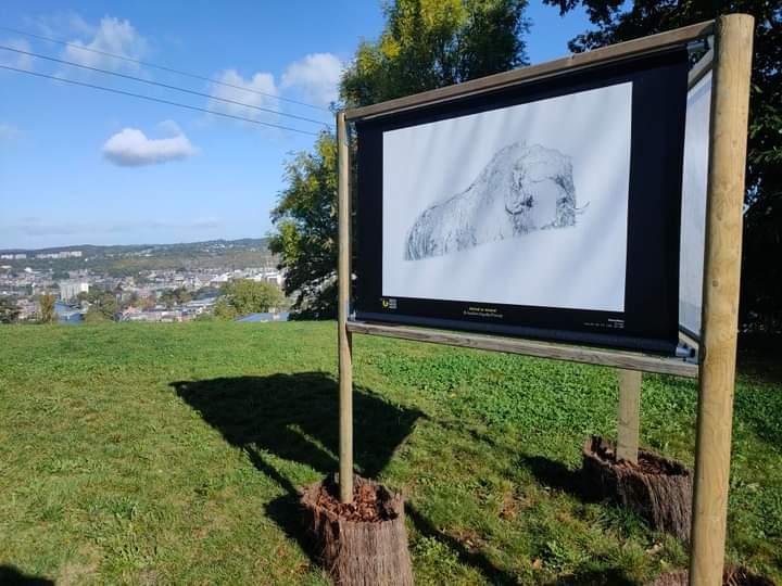 Festival International Nature Namur 2023 (Belgique) – « Animal or mineral »
