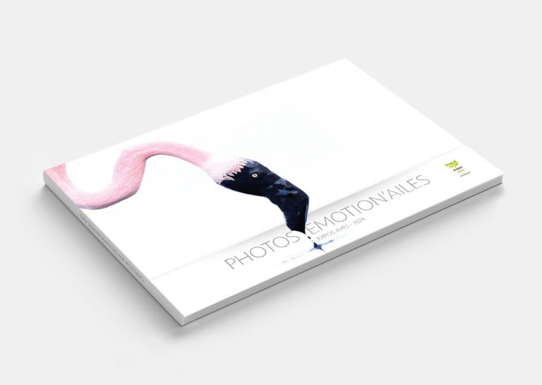 horizontal book mockup